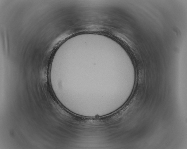 X0000113061451200909250858