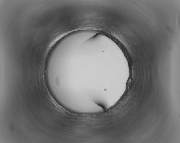 X0000113061452200909250858