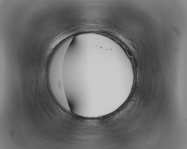 X0000113061453200909250858