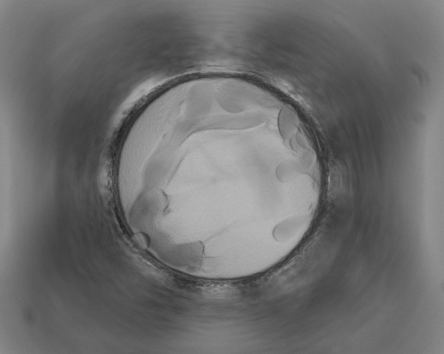 X0000113061454200909250858