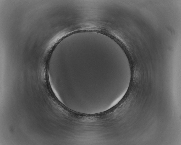 X0000113061455200909250858