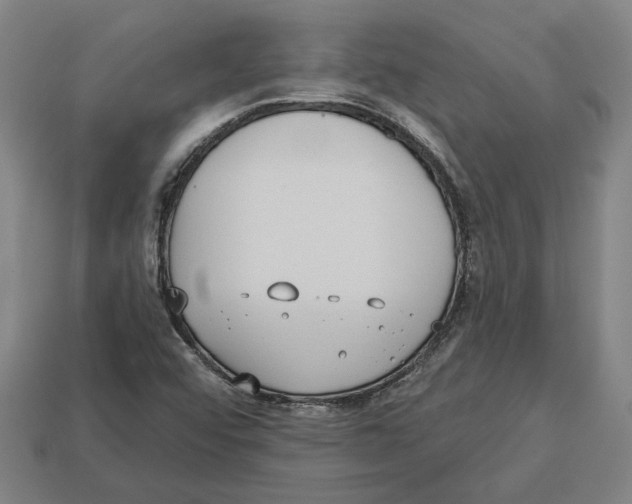 X0000113061456200909250858