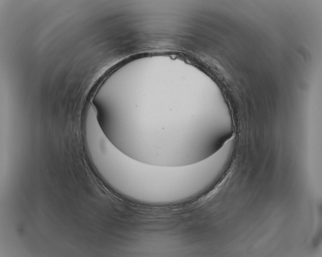 X0000113061457200909250858