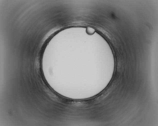 X0000113061458200909250858