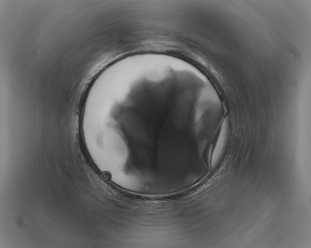 X0000113061459200909250858