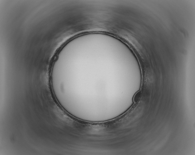 X0000113061460200909250858