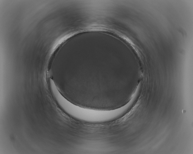 X0000113061461200909250858