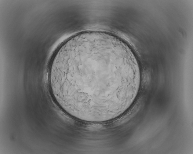 X0000113061462200909250858