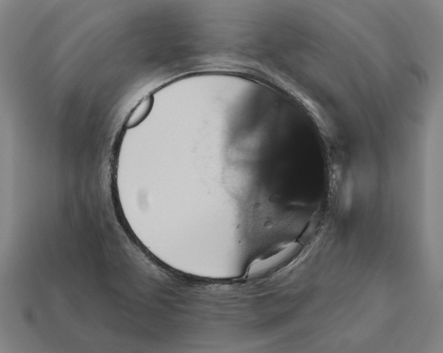 X0000113061463200909250858