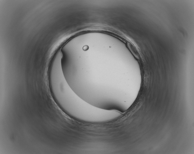 X0000113061464200909250858