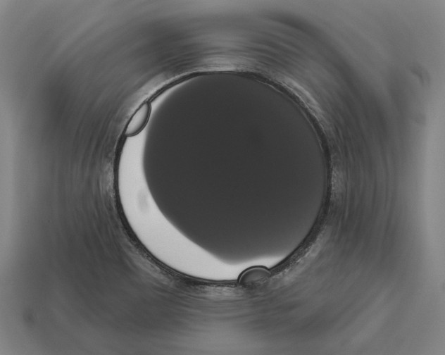 X0000113061465200909250858