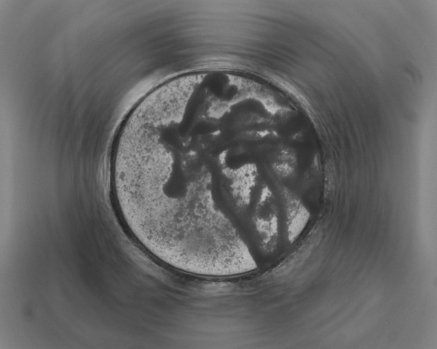 X0000113061467200909250858