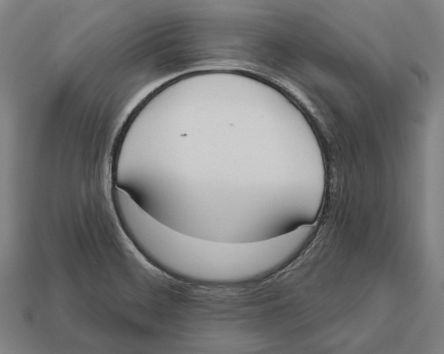 X0000113061468200909250858