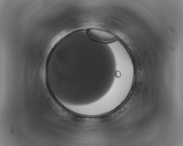 X0000113061469200909250858