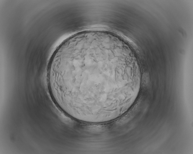 X0000113061470200909250858