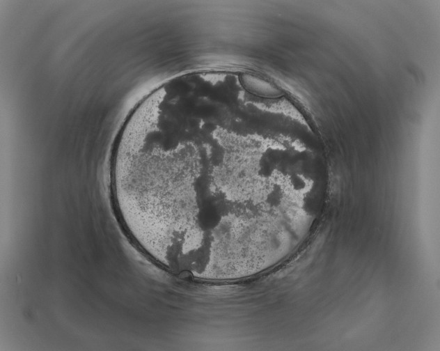 X0000113061471200909250858