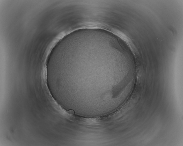 X0000113061472200909250858