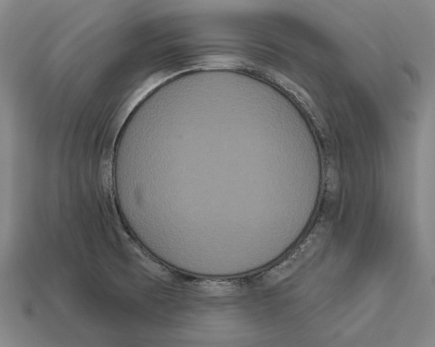 X0000113061473200909250858