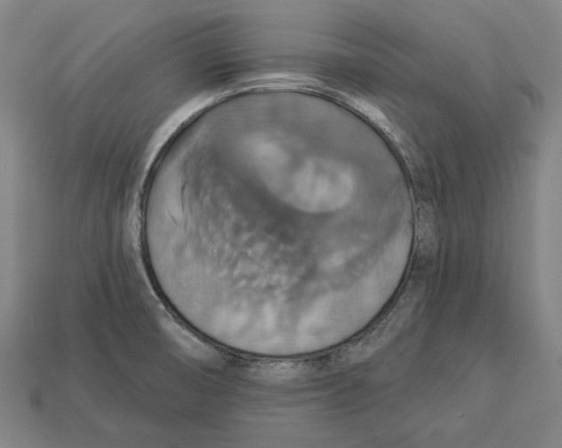 X0000113061474200909250858