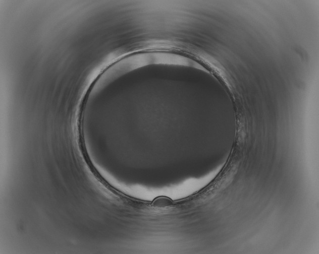 X0000113061475200909250858