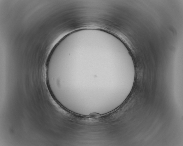 X0000113061476200909250858