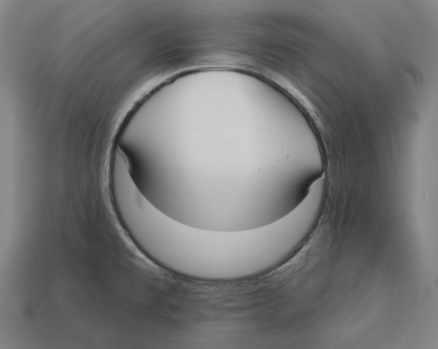 X0000113061477200909250858