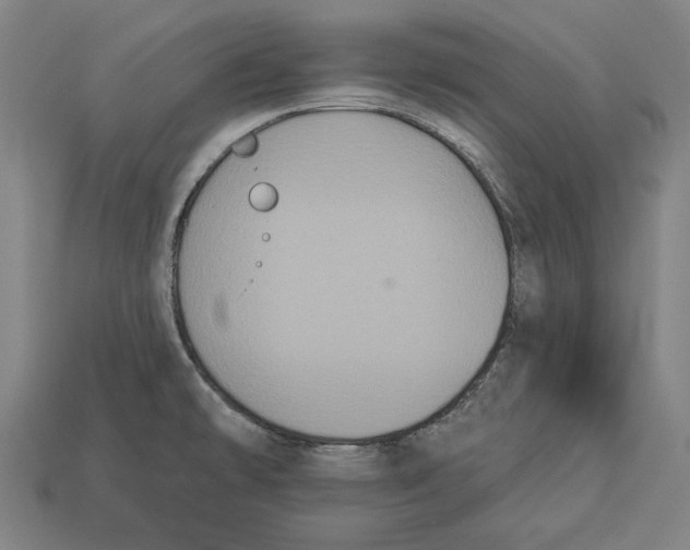 X0000113061478200909250858