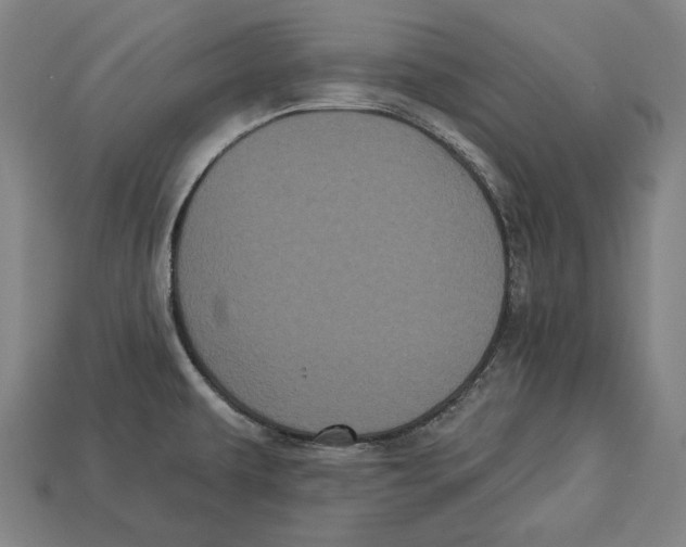 X0000113061479200909250858