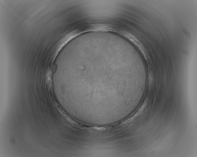 X0000113061481200909250858