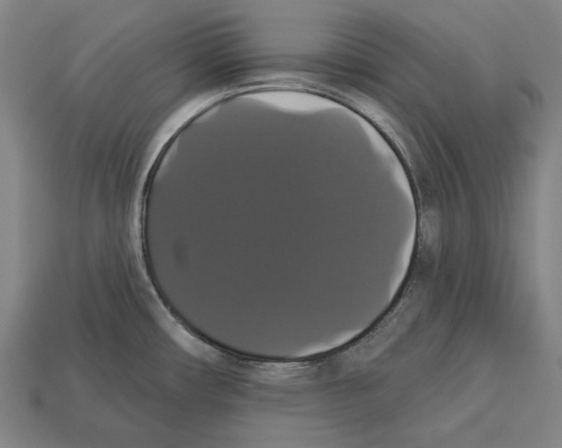 X0000113061482200909250858