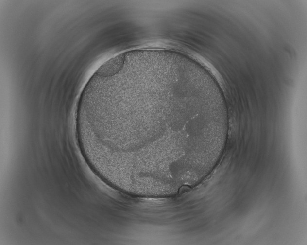 X0000113061483200909250858