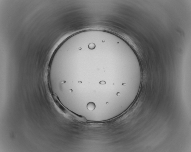 X0000113061484200909250858