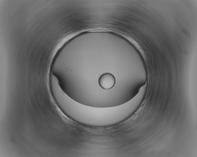 X0000113061485200909250858