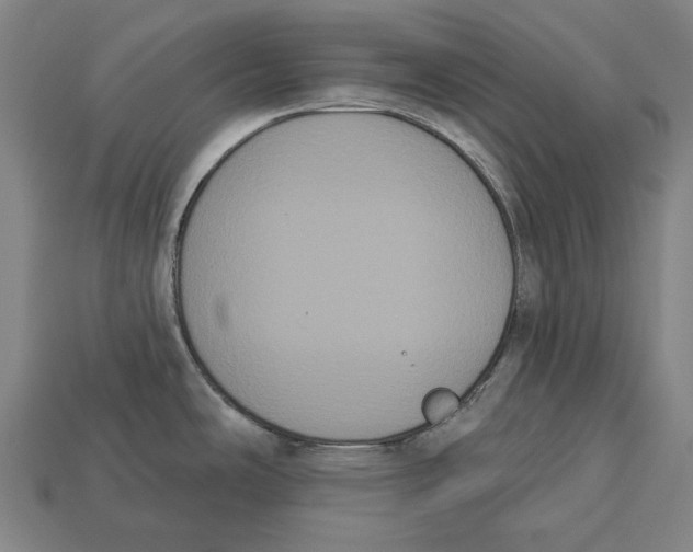 X0000113061486200909250858