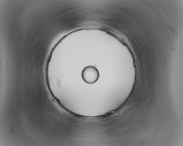 X0000113061488200909250858