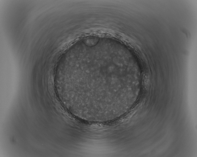 X0000113061489200909250857