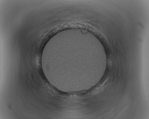 X0000113061490200909250857