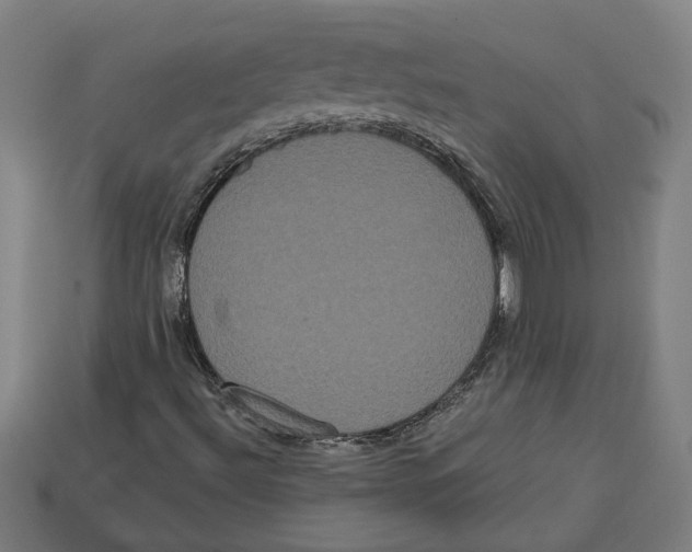 X0000113061492200909250857