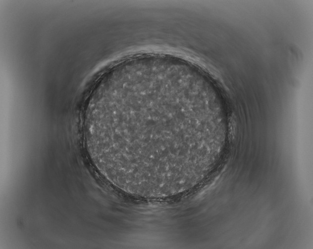 X0000113061494200909250857