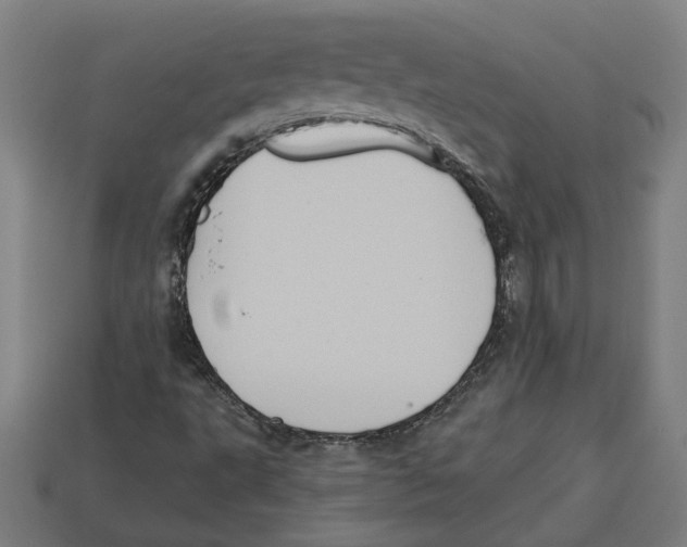 X0000113061495200909250857