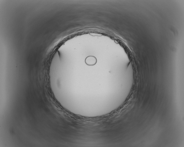 X0000113061496200909250857