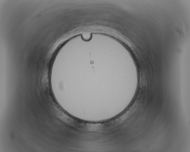 X0000113061498200909250857