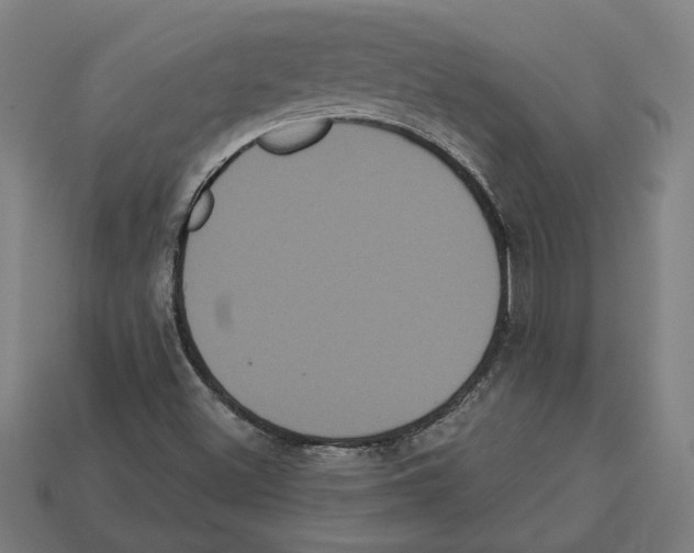 X0000113061500200909250857