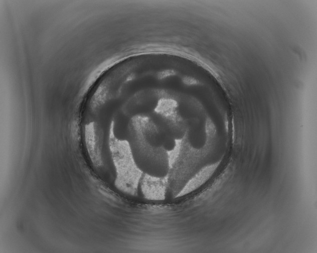 X0000113061501200909250857