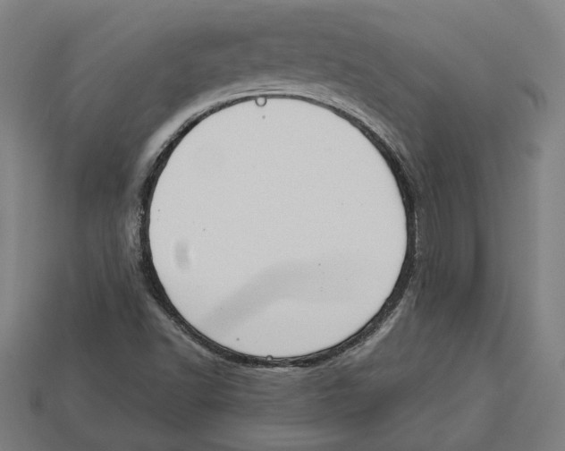 X0000113061502200909250857