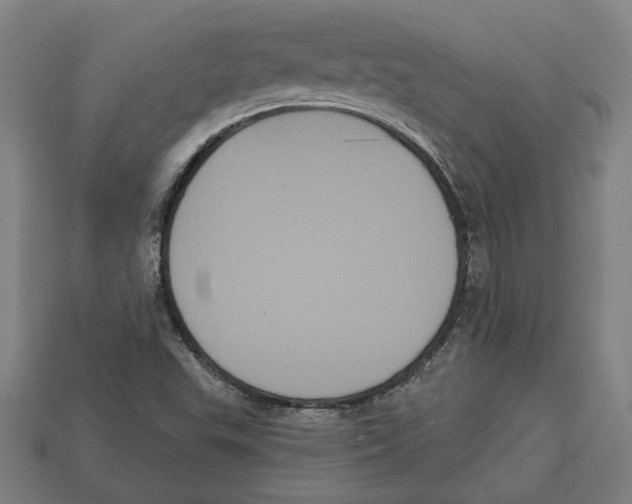 X0000113061503200909250857