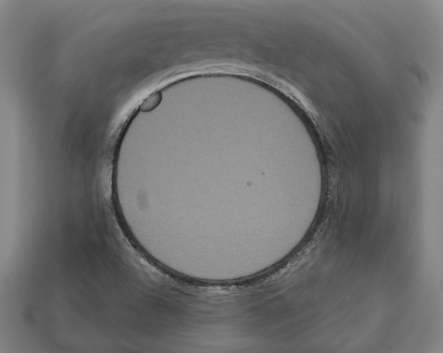 X0000113061504200909250858