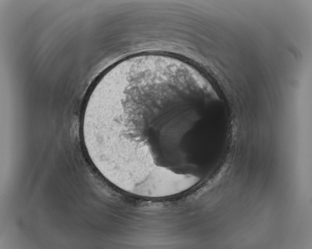 X0000113061505200909250858