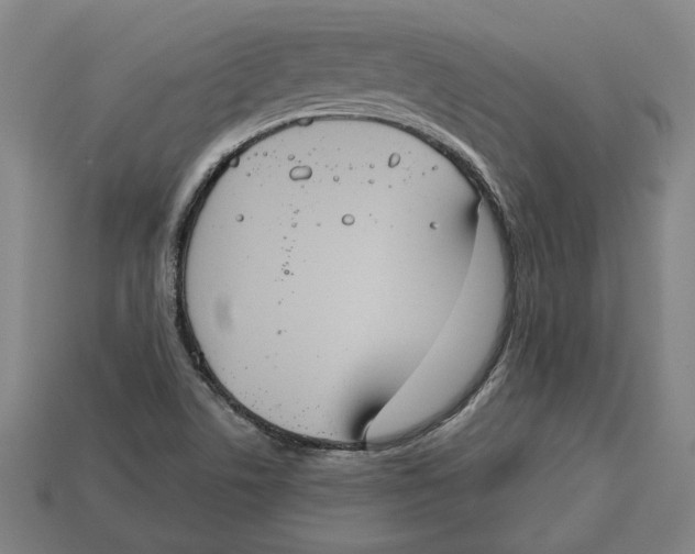 X0000113061506200909250858