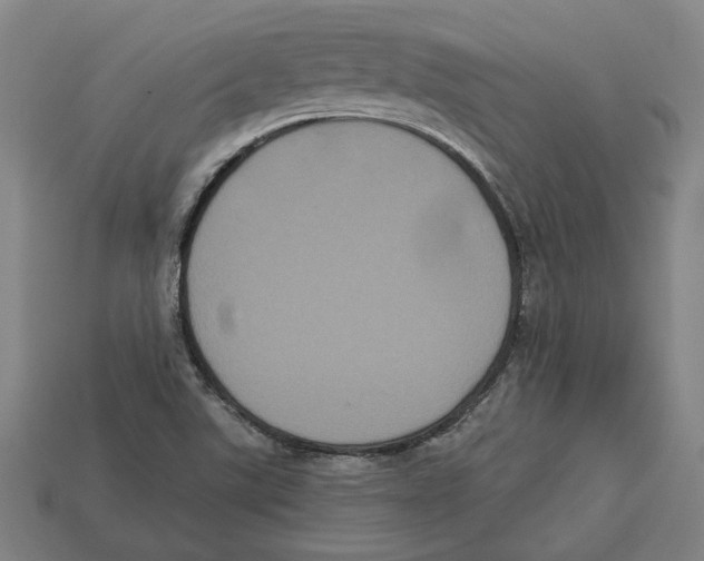 X0000113061507200909250858